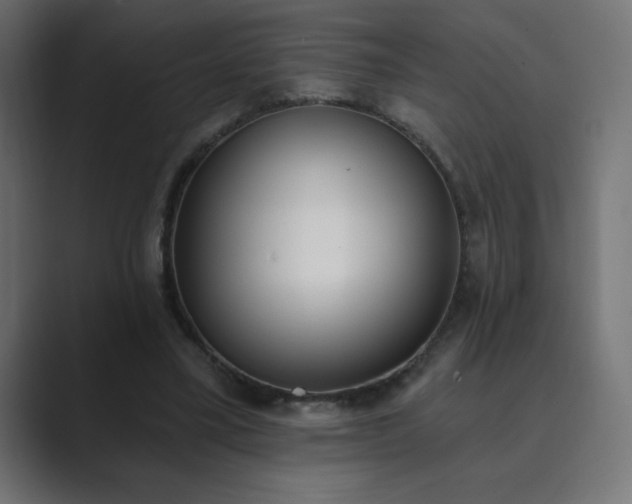 X0000089850395200706281255