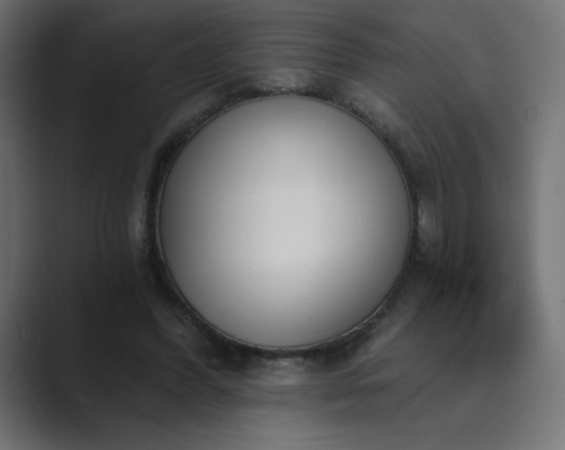 X0000089850396200706281255