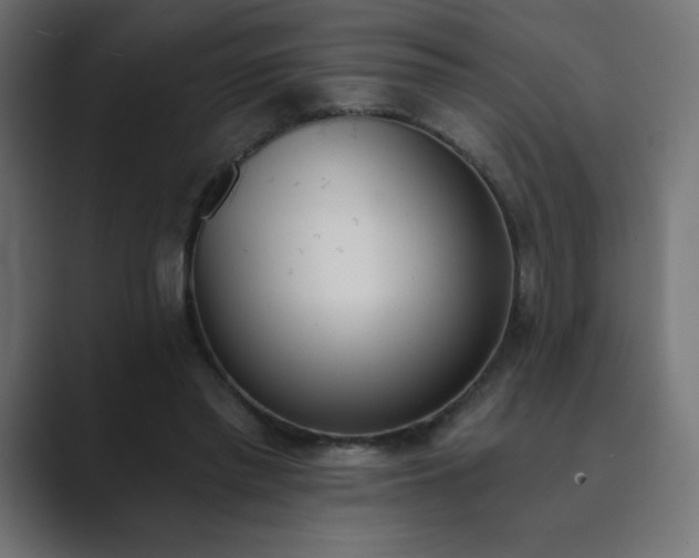 X0000089850397200706281255
