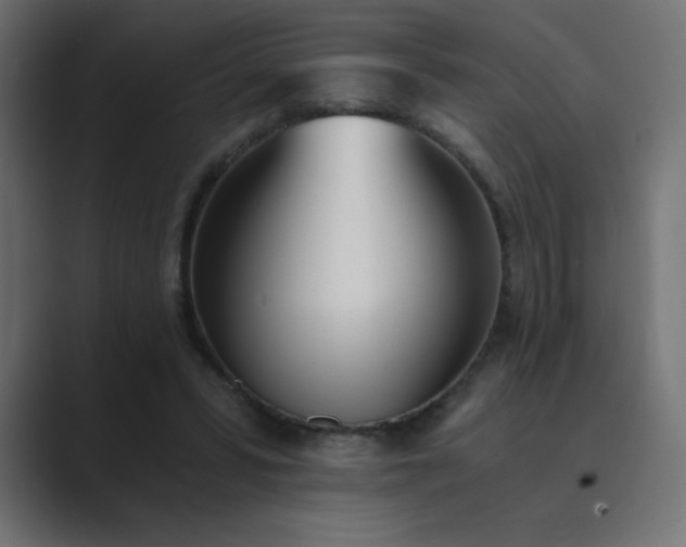 X0000089850399200706281255