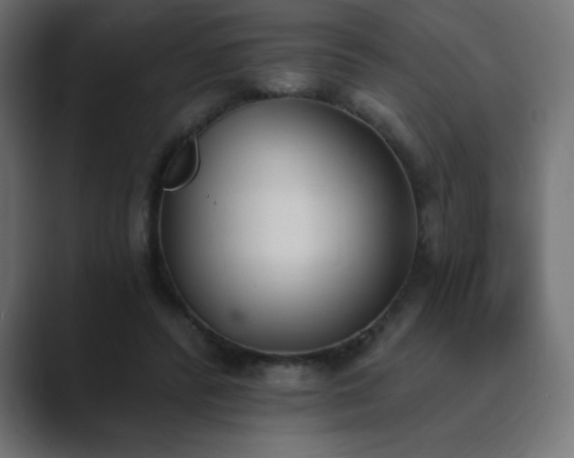 X0000089850400200706281255