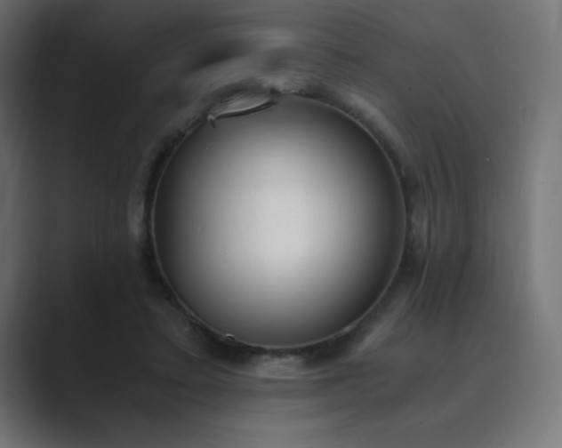 X0000089850403200706281255
