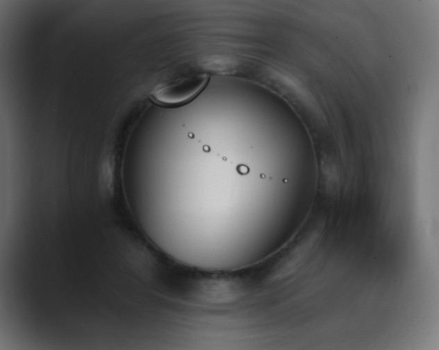 X0000089850404200706281255