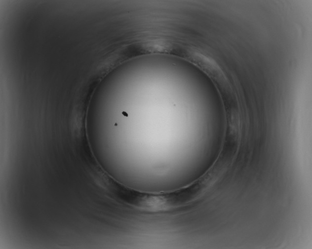 X0000089850409200706281255