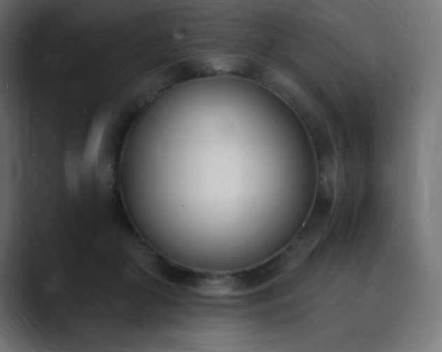 X0000089850410200706281255