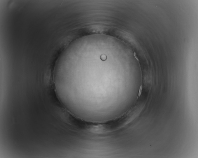 X0000089850411200706281255