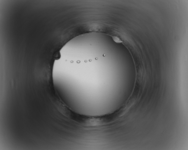 X0000089850413200706281255