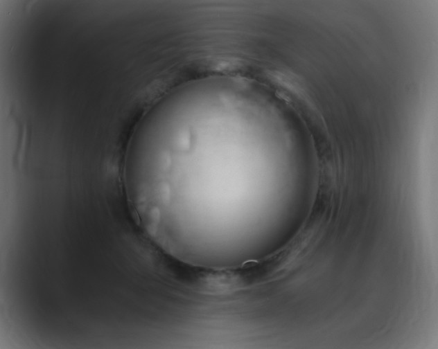 X0000089850415200706281255