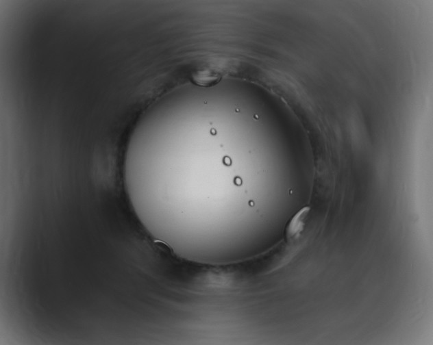 X0000089850416200706281255