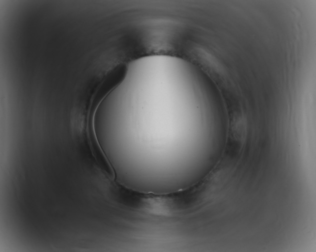 X0000089850417200706281255