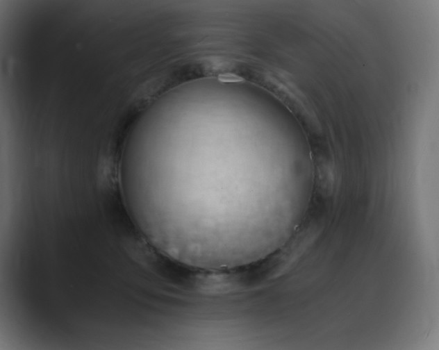 X0000089850419200706281255