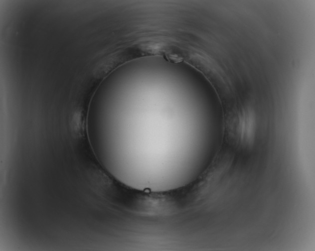 X0000089850420200706281255