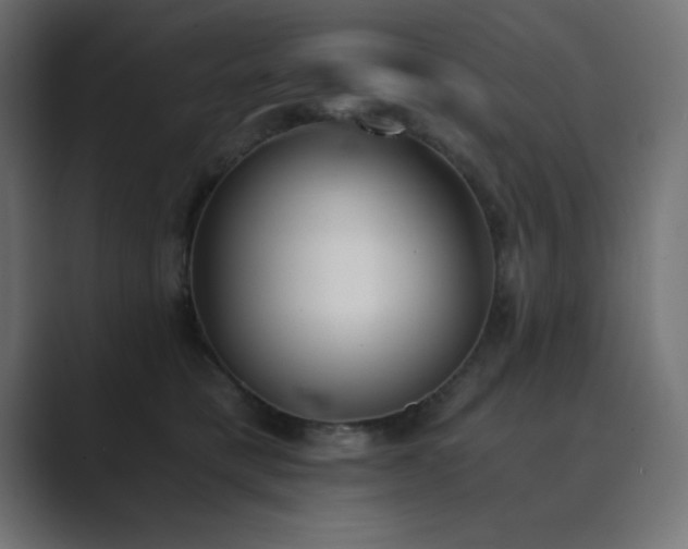 X0000089850421200706281255