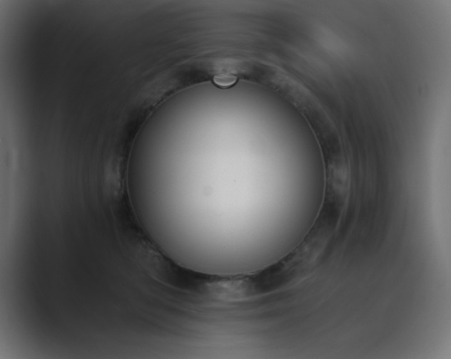 X0000089850422200706281255