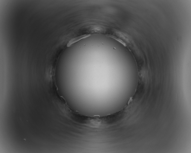 X0000089850423200706281255