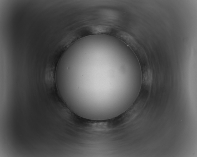 X0000089850426200706281255