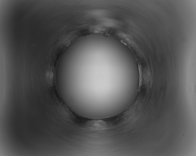 X0000089850427200706281255