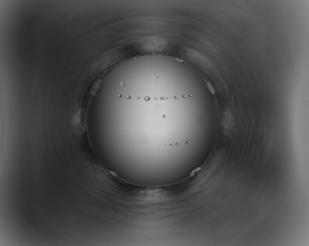 X0000089850428200706281255