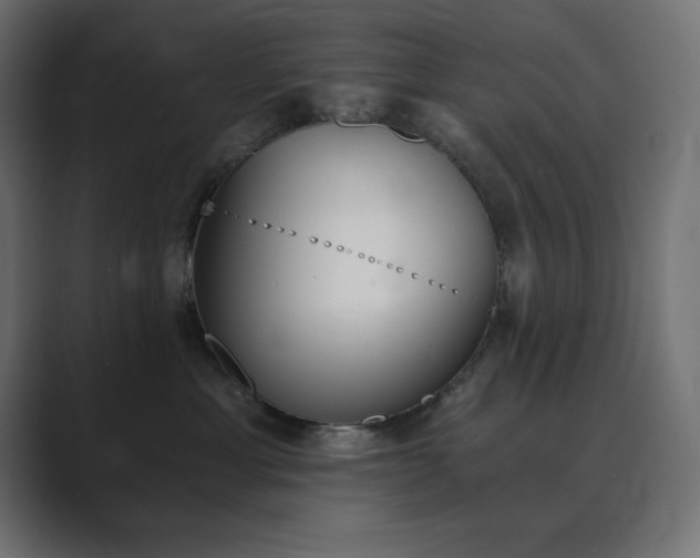 X0000089850429200706281255