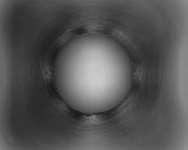 X0000089850430200706281254