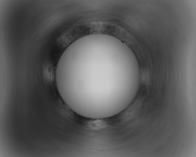 X0000089850431200706281254