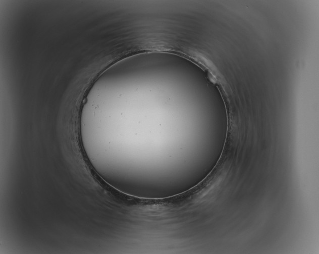 X0000089850433200706281254