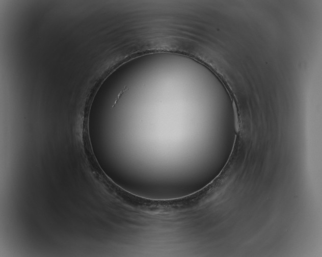 X0000089850434200706281254