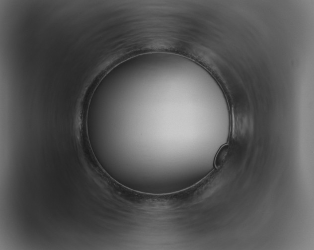X0000089850435200706281254