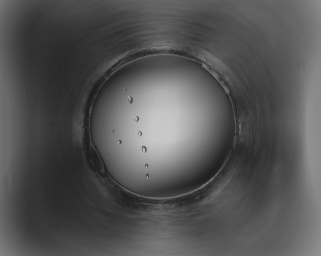 X0000089850436200706281254