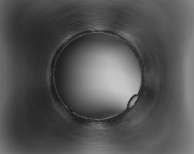 X0000089850439200706281254