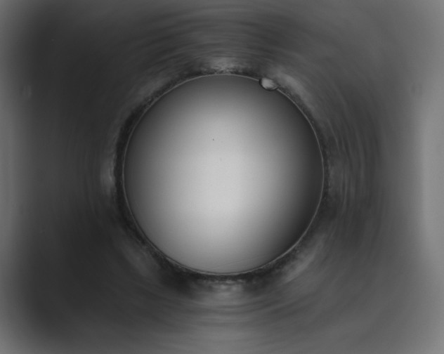 X0000089850443200706281254