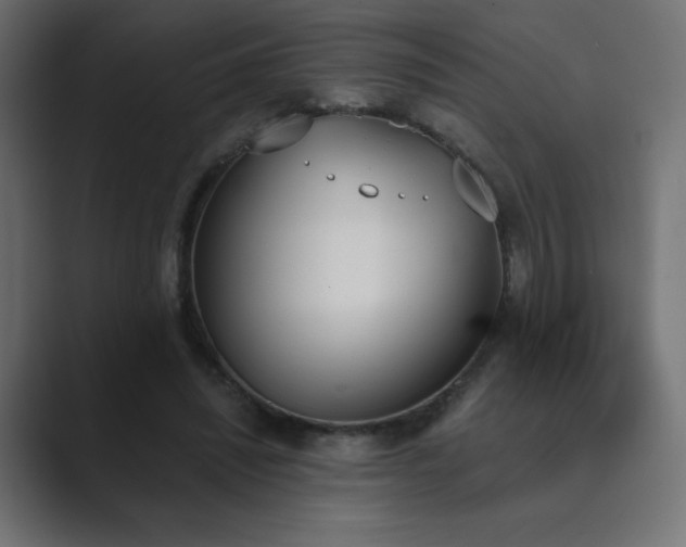 X0000089850444200706281254