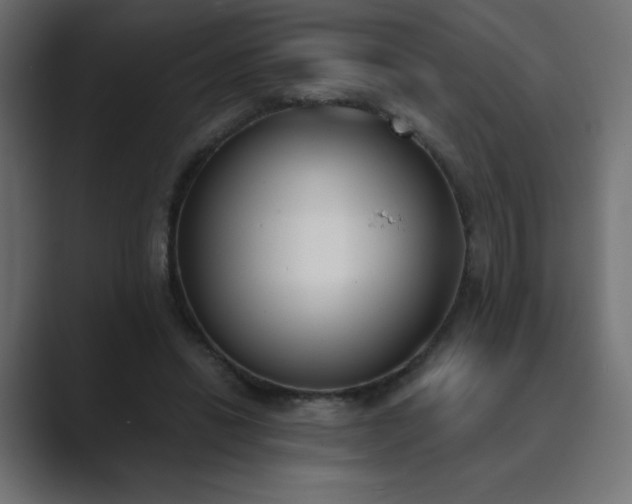 X0000089850446200706281254