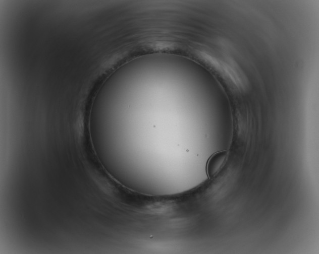 X0000089850447200706281254