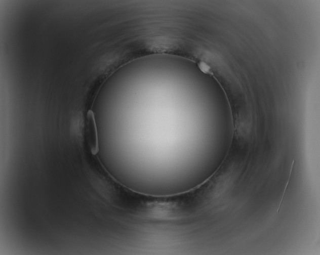 X0000089850448200706281254