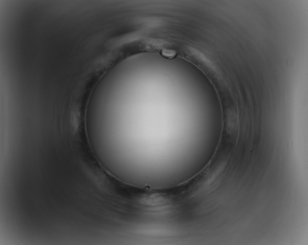 X0000089850451200706281254