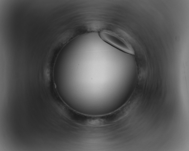 X0000089850452200706281254