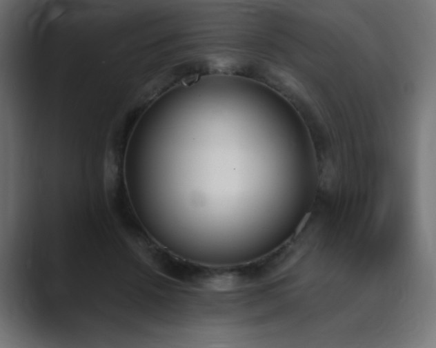 X0000089850456200706281254