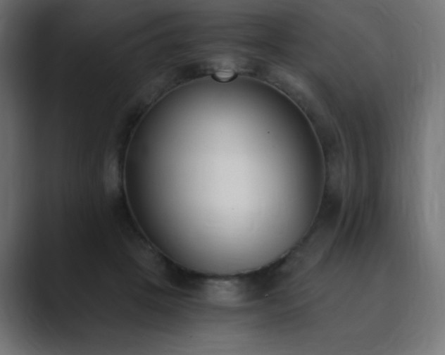 X0000089850457200706281254