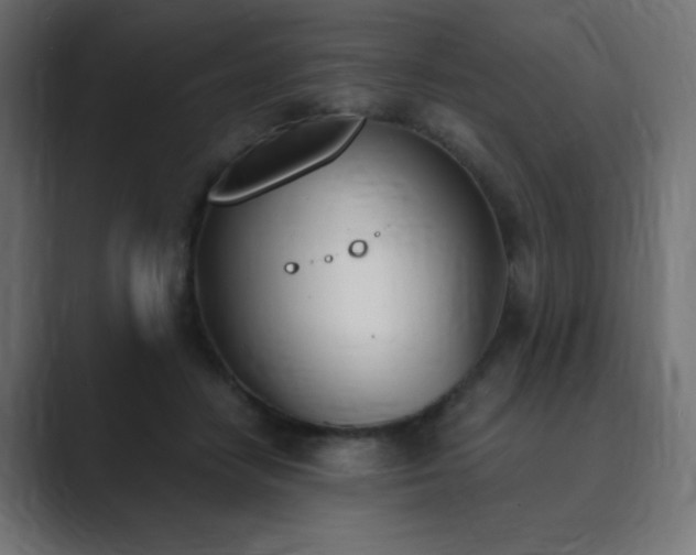 X0000089850458200706281254