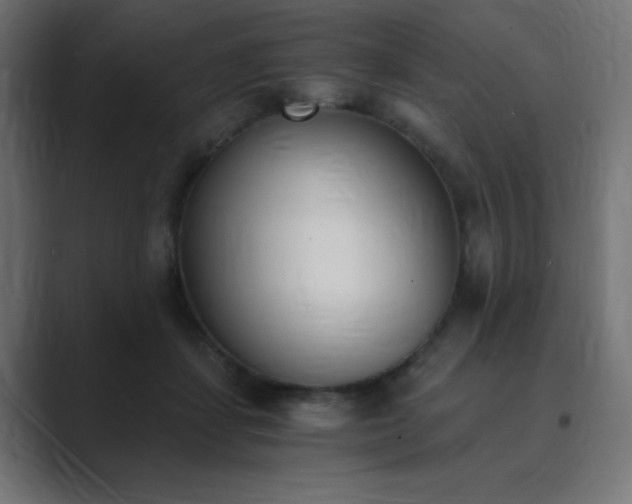 X0000089850459200706281254
