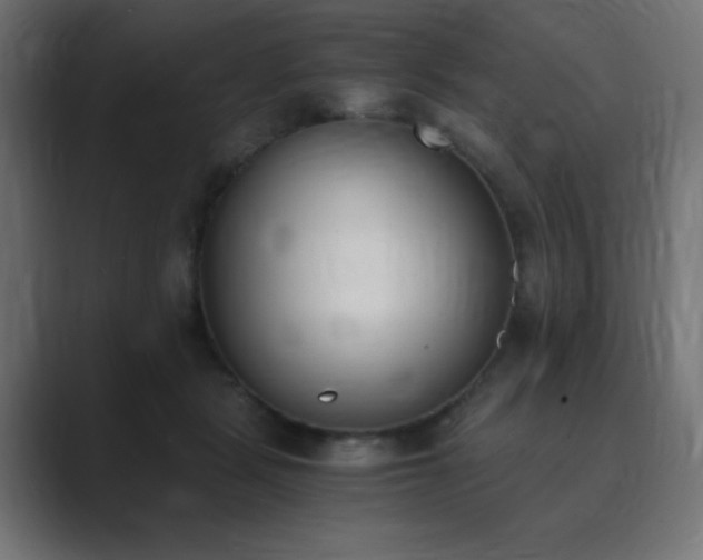 X0000089850461200706281254