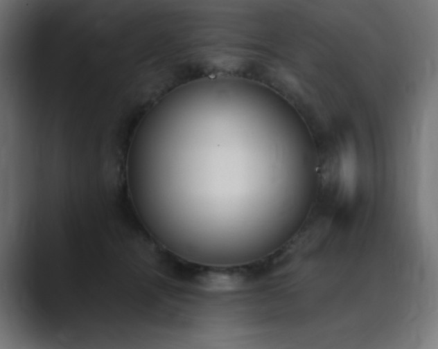 X0000089850464200706281254