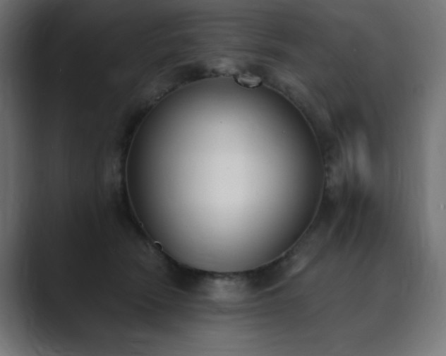 X0000089850466200706281254