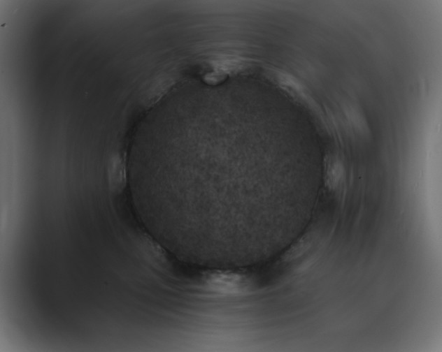 X0000089850471200706281254