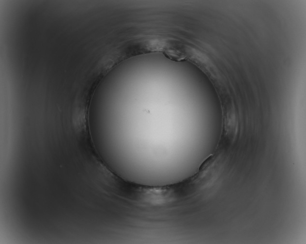 X0000089850473200706281254