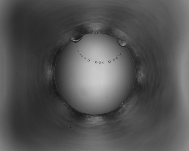 X0000089850476200706281254