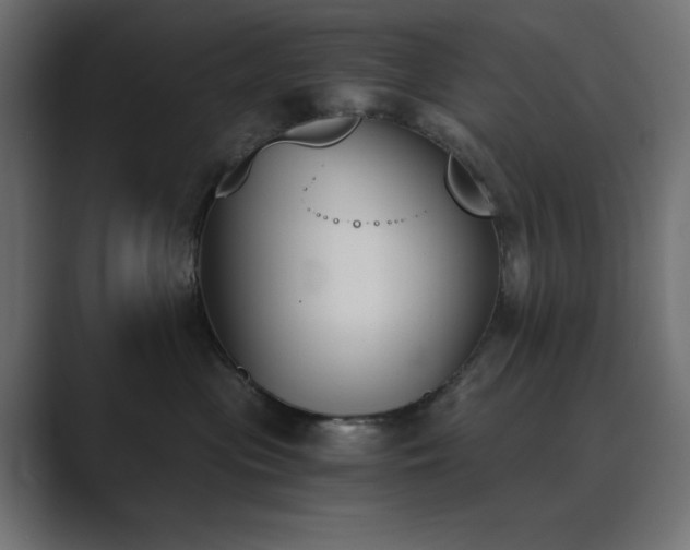 X0000089850477200706281254
