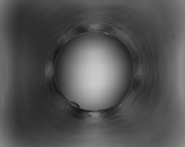 X0000089850478200706281254