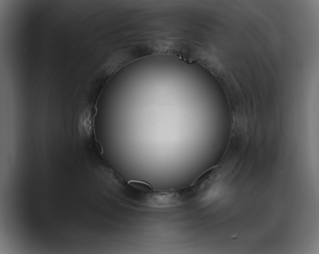 X0000089850479200706281254